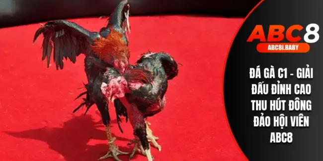 Đá Gà C1