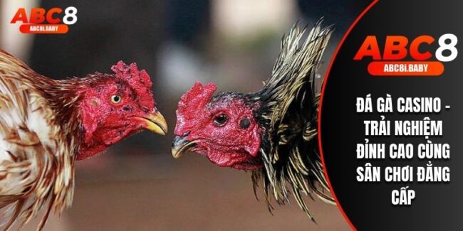 Đá Gà Casino