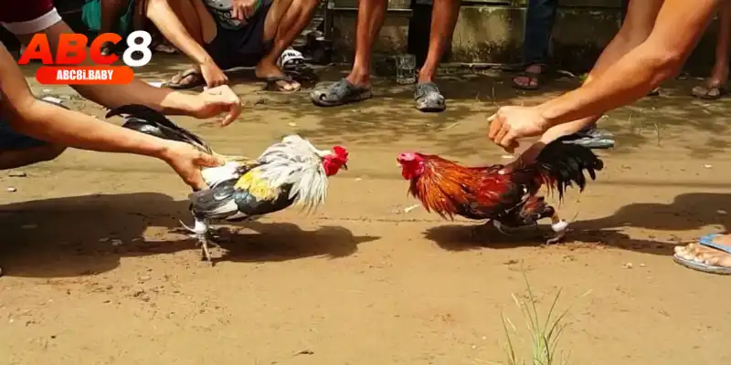 Thời gian cơ bản diễn ra trận đấu cơ bản