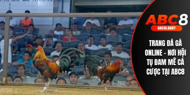 Trang Đá Gà Online